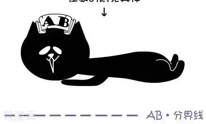 NIU猫之血型NIU第5话 血型-谁最怕旅行