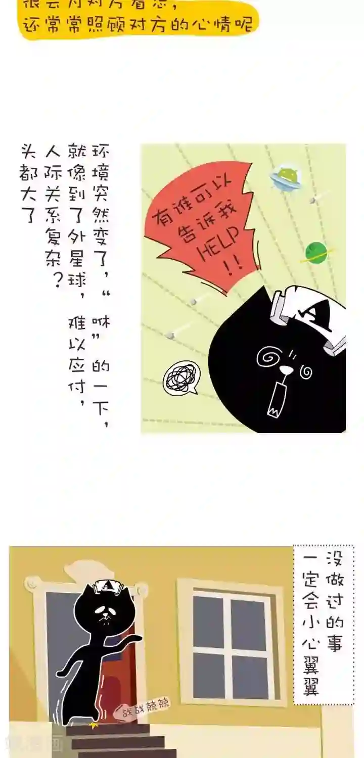 NIU猫之血型NIU第8话 血型-A型血概述