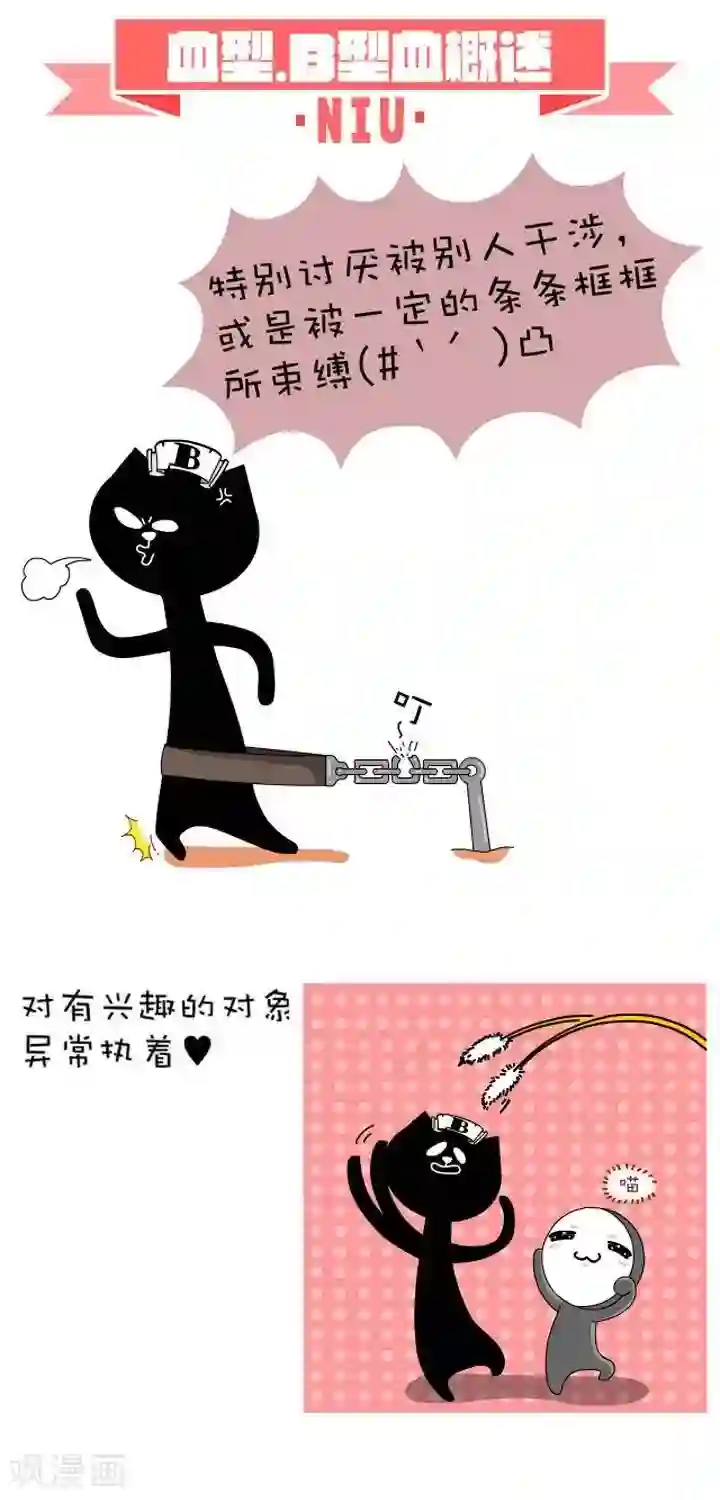 NIU猫之血型NIU第9话 血型-B型血概述