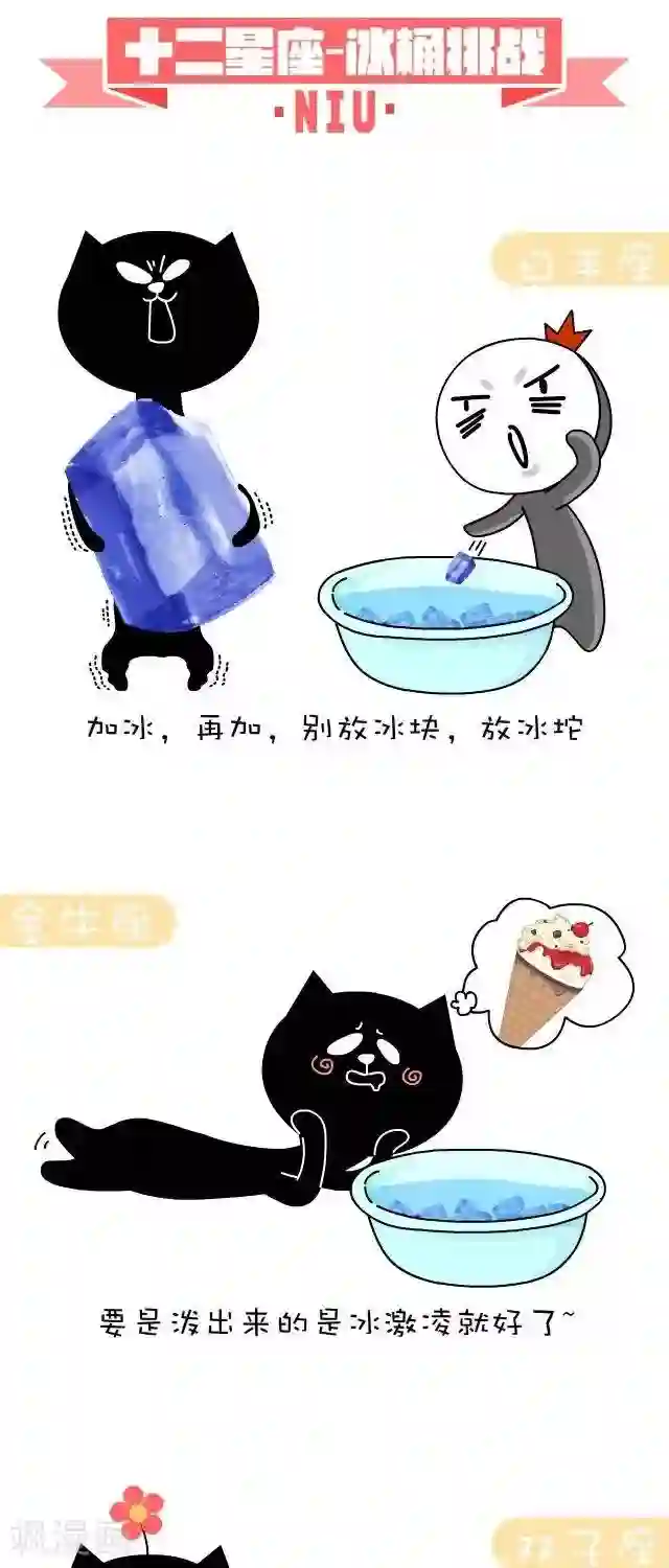 NIU猫之血型NIU第25话 冰桶挑战