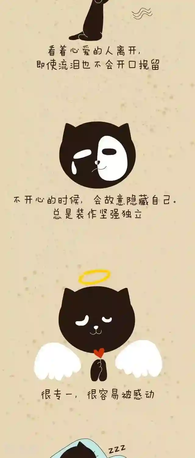 NIU猫之血型NIU第28话 小心血型人