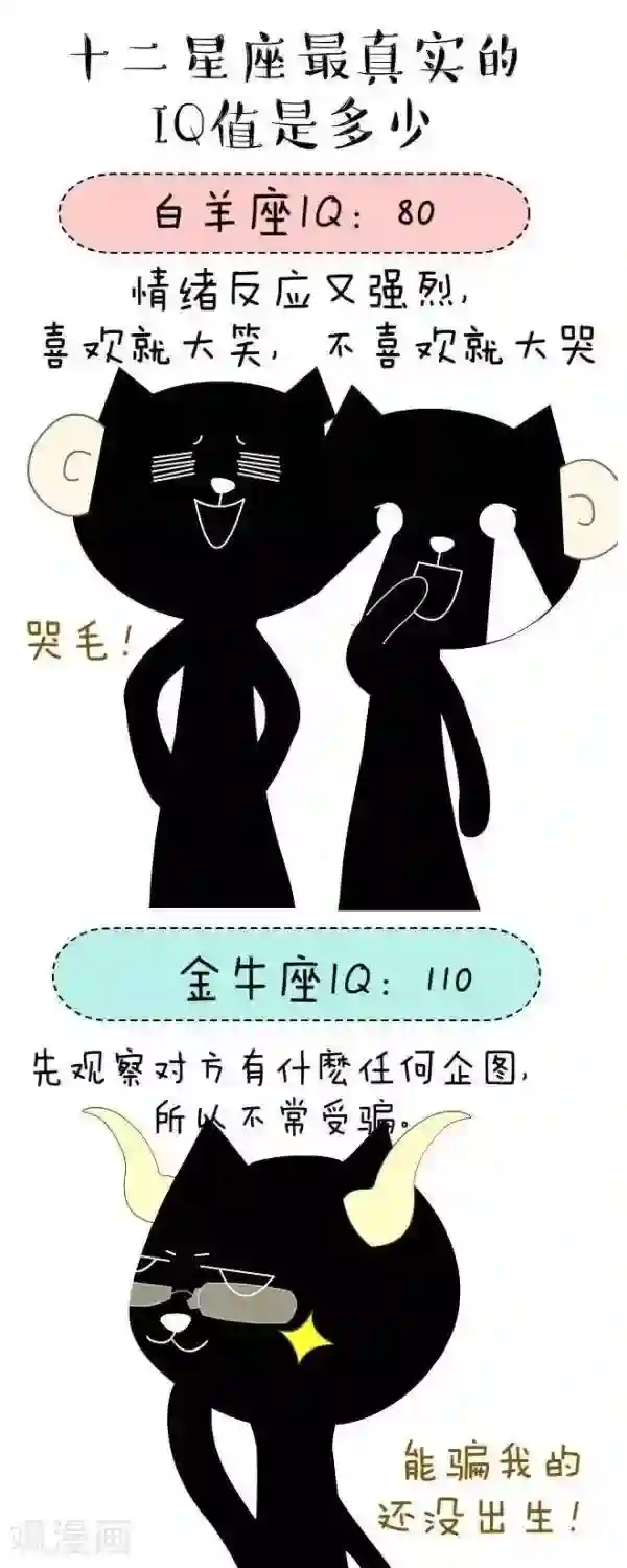 NIU猫之血型NIU第29话 IQ（1）