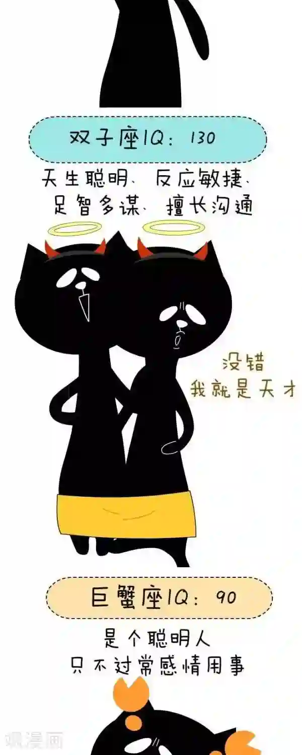 NIU猫之血型NIU第29话 IQ（1）
