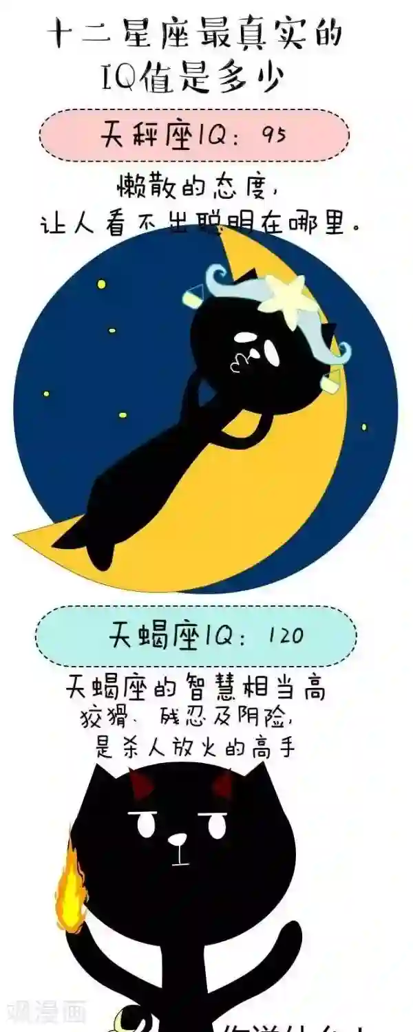 NIU猫之血型NIU第30话 IQ（2）