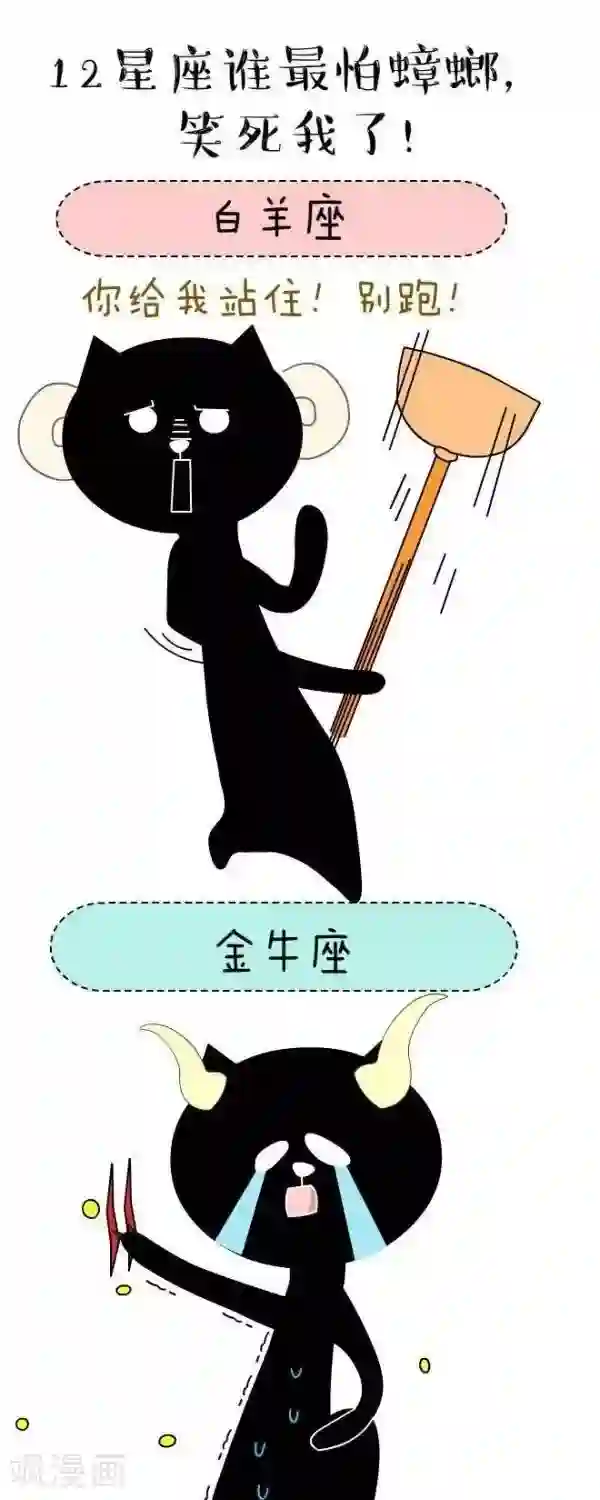 NIU猫之血型NIU第42话 星座蟑螂