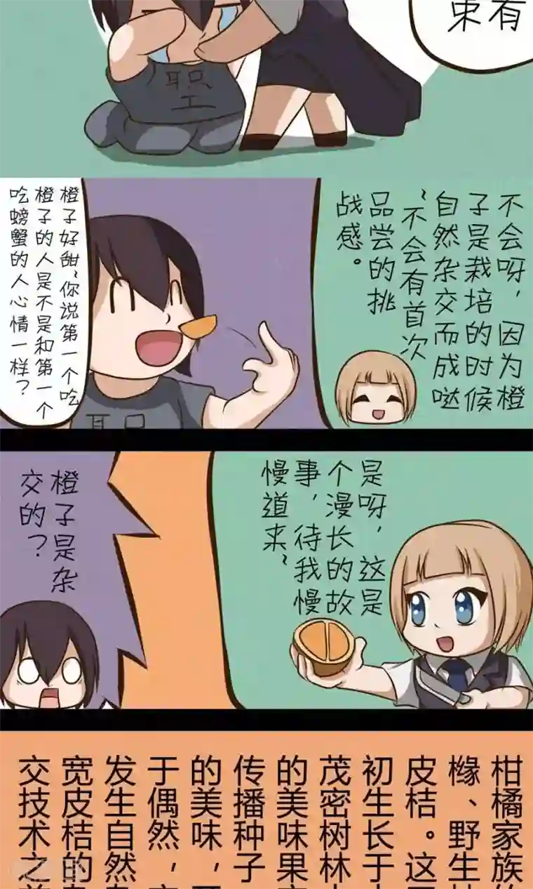 家政大师第21话 天下本无橙