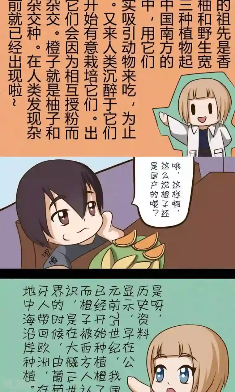 家政大师第21话 天下本无橙