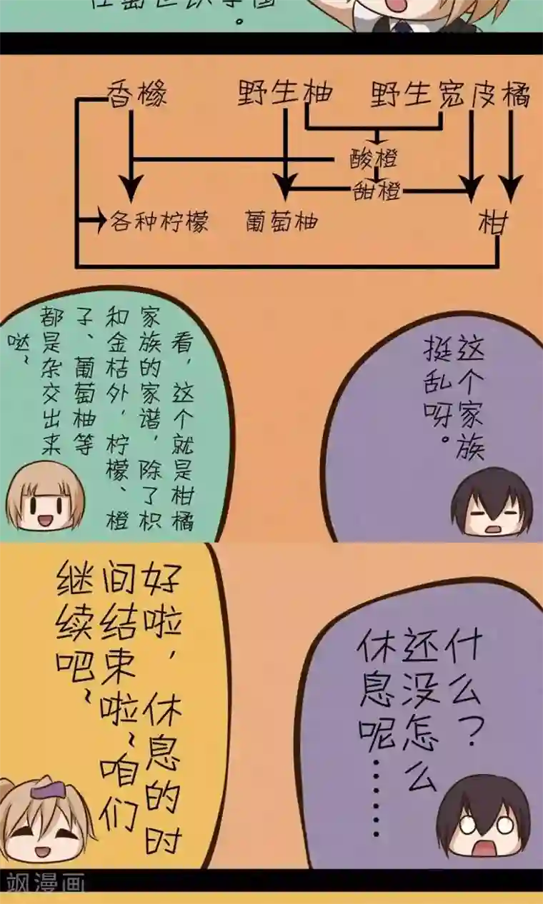 家政大师第21话 天下本无橙