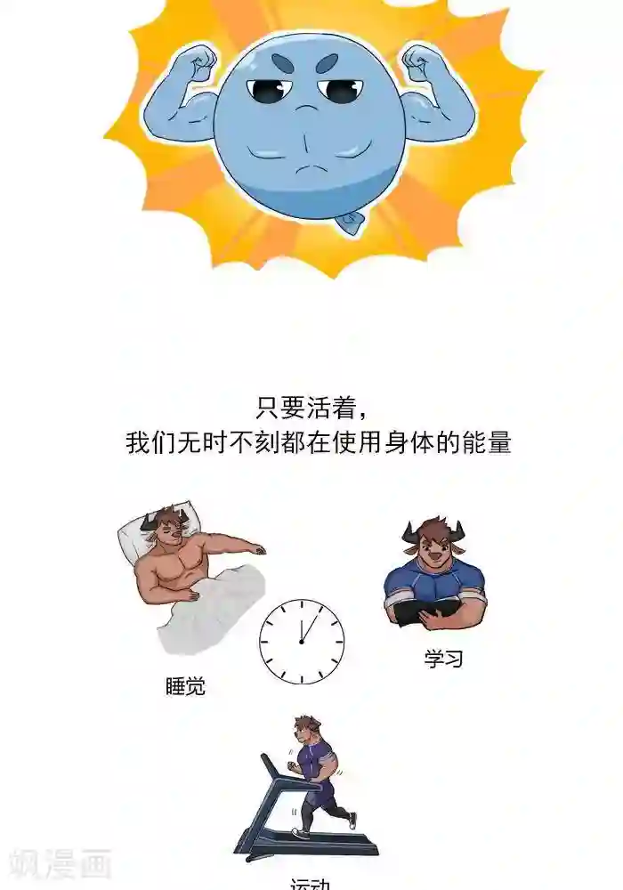 大牛健身漫画第2话 人体的能量守恒原理！