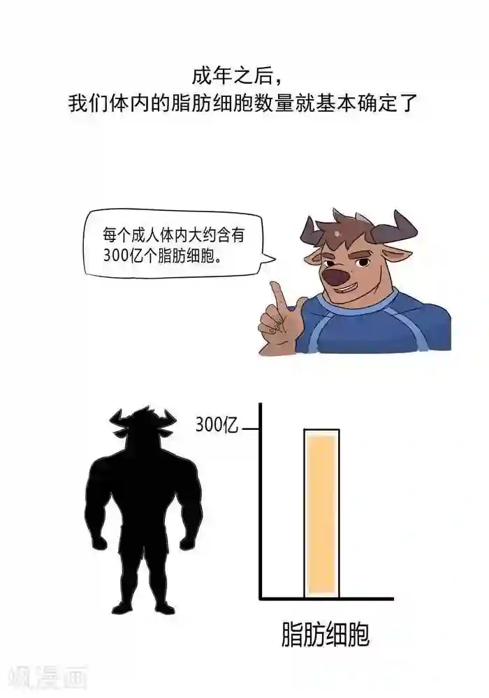 大牛健身漫画第5话 脂肪有多神秘