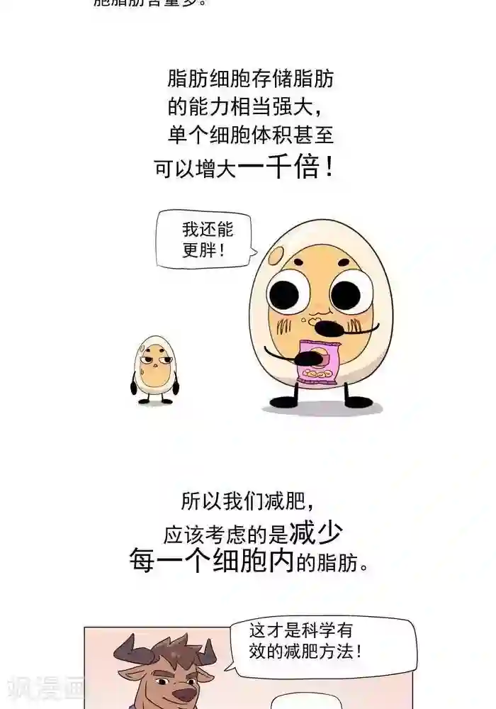 大牛健身漫画第5话 脂肪有多神秘