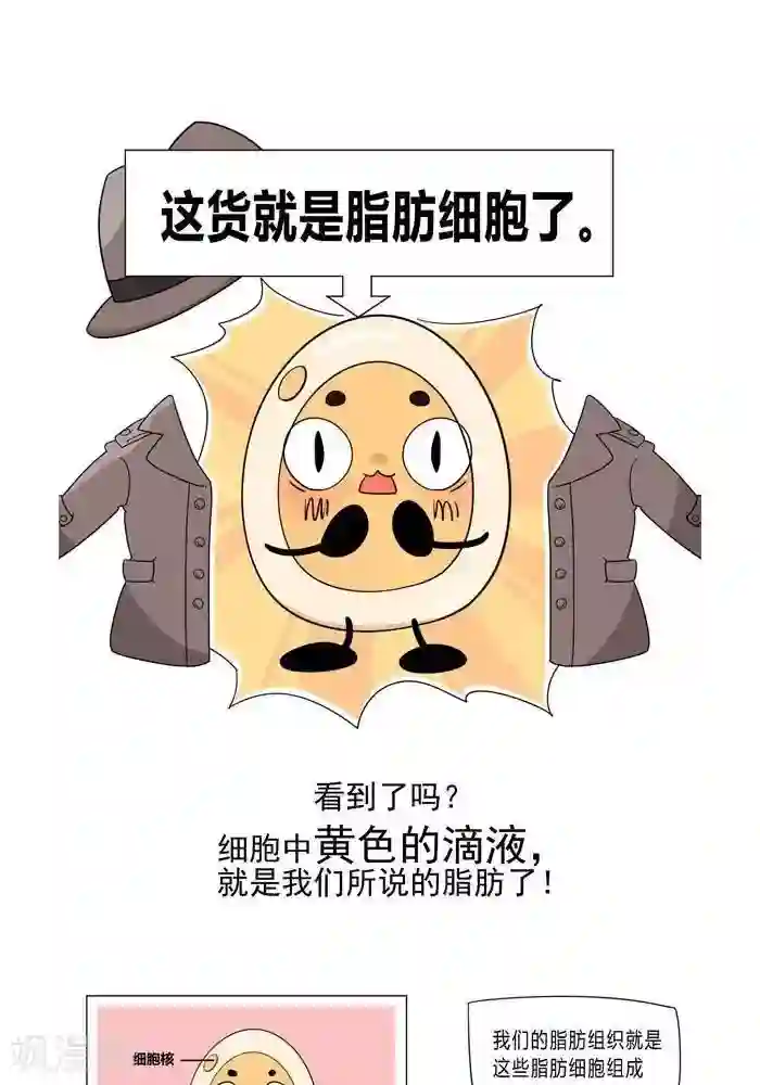大牛健身漫画第5话 脂肪有多神秘
