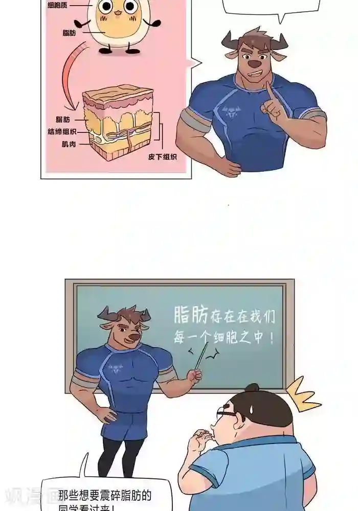 大牛健身漫画第5话 脂肪有多神秘