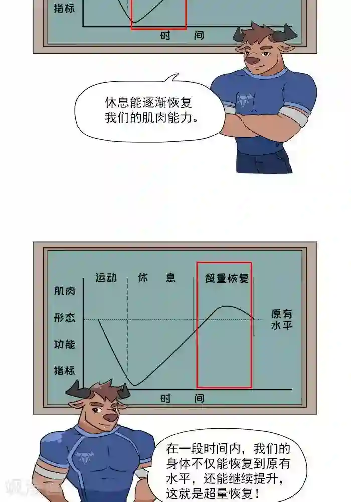 大牛健身漫画第6话 增肌的秘术