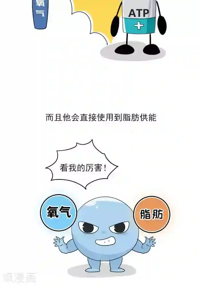 大牛健身漫画第7话 ATP是什么？