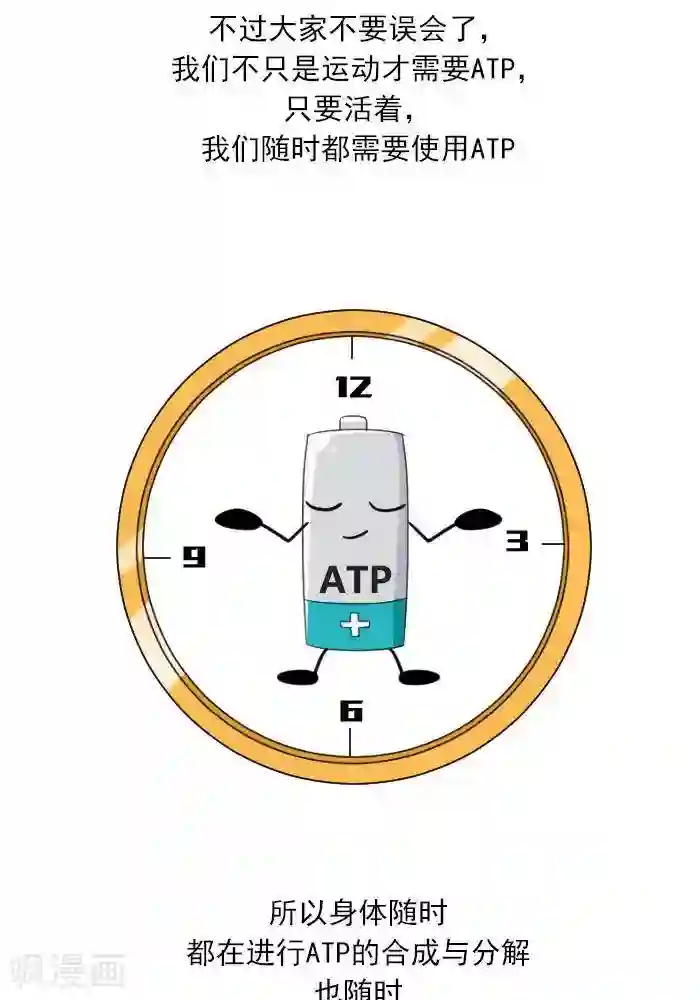 大牛健身漫画第7话 ATP是什么？