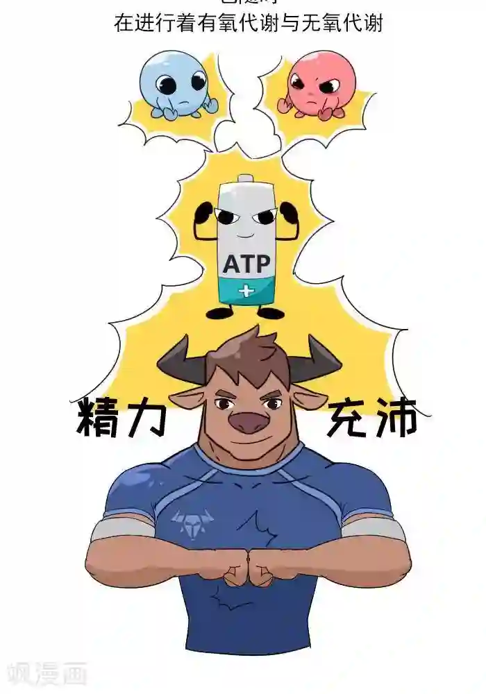 大牛健身漫画第7话 ATP是什么？