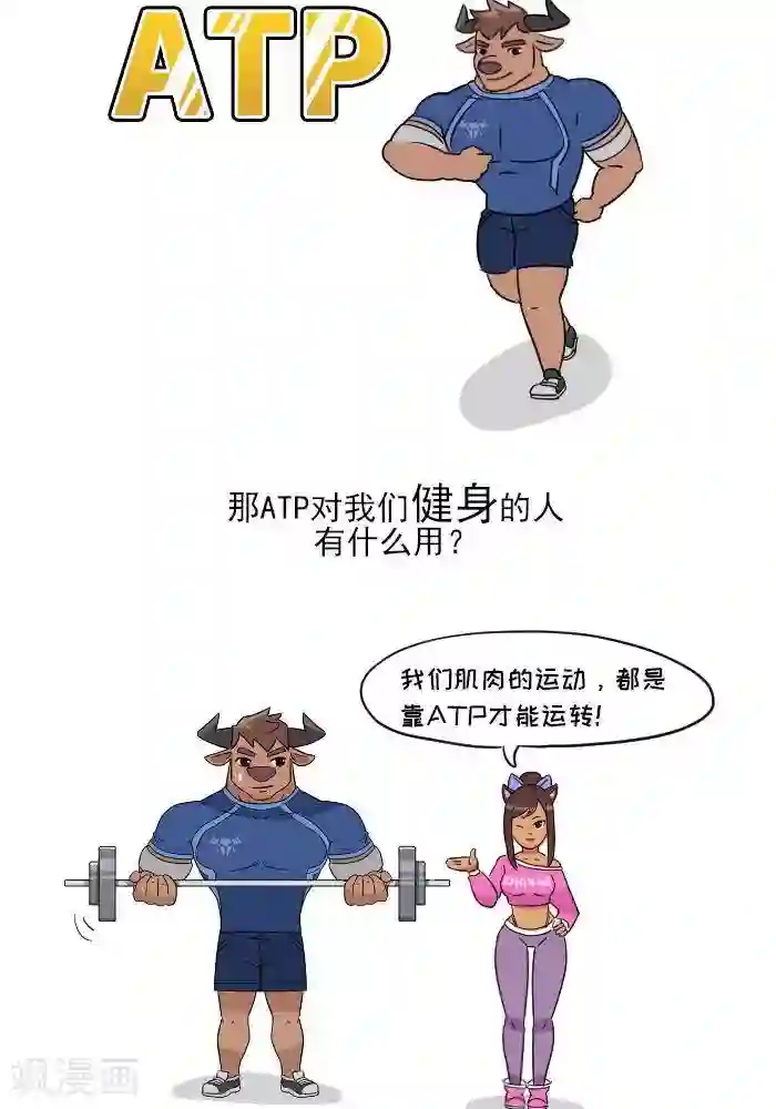 大牛健身漫画第7话 ATP是什么？