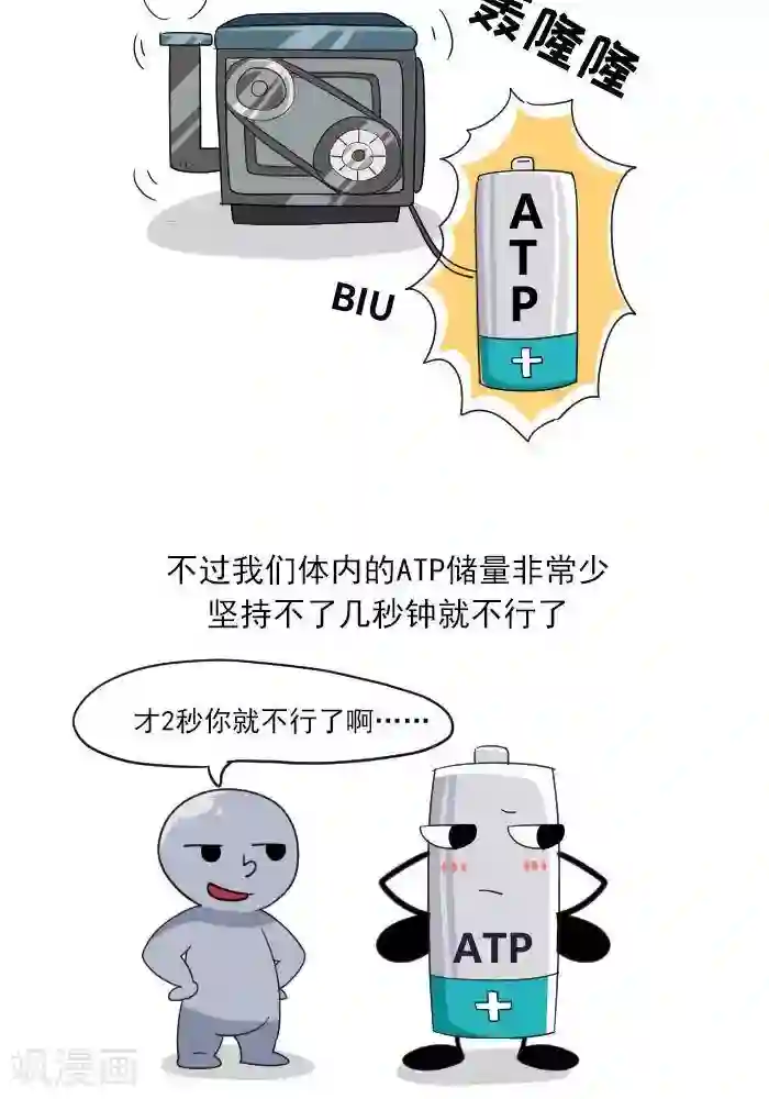 大牛健身漫画第7话 ATP是什么？