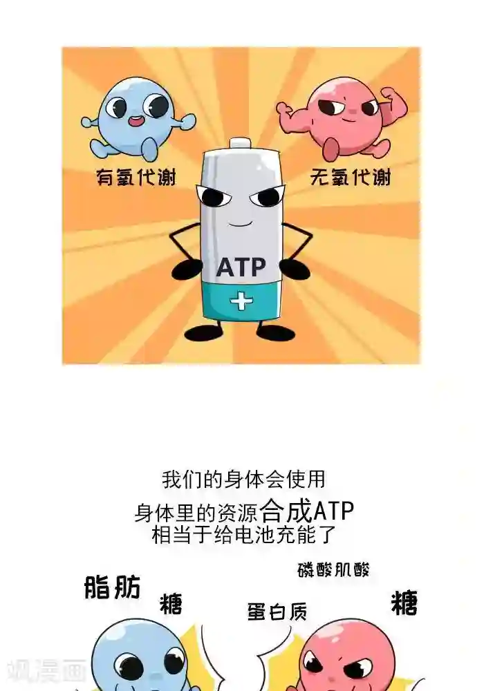 大牛健身漫画第7话 ATP是什么？
