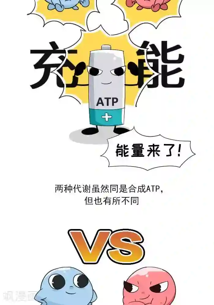 大牛健身漫画第7话 ATP是什么？