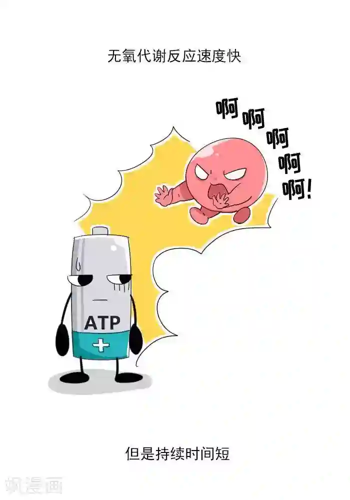大牛健身漫画第7话 ATP是什么？