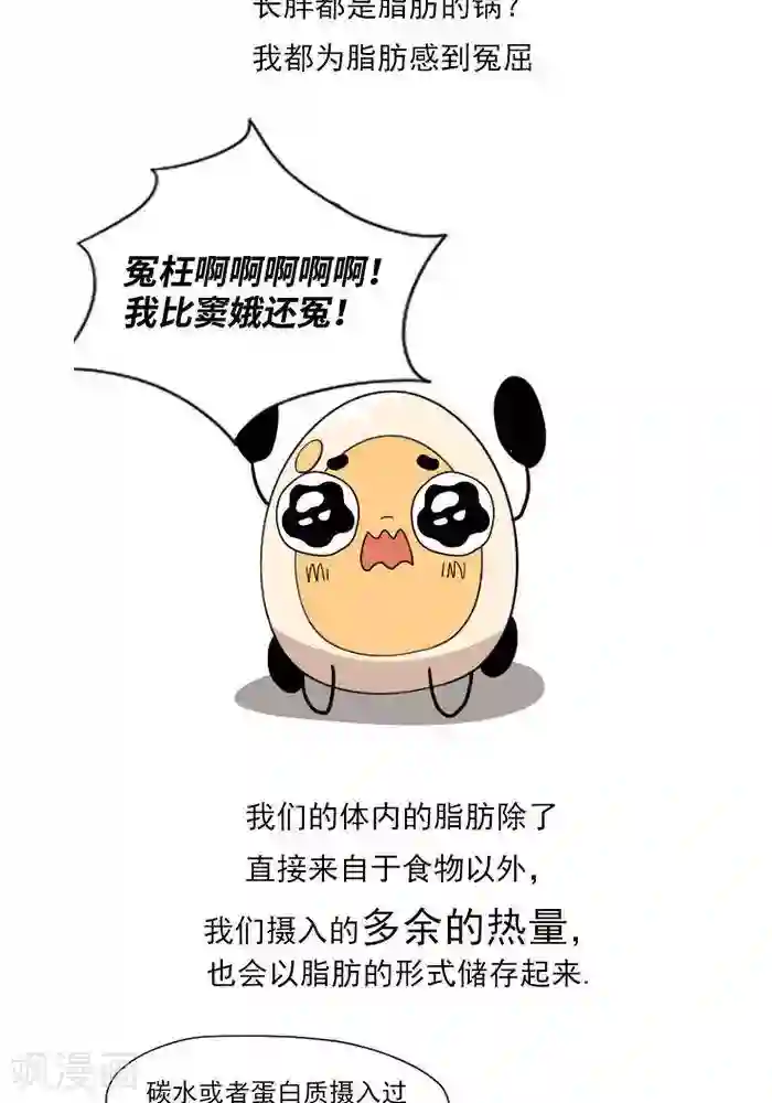 大牛健身漫画第8话 脂肪的前世今生