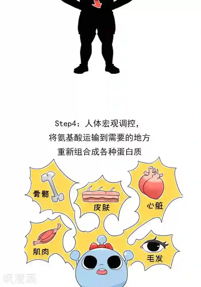 大牛健身漫画第9话 蛋白质知多少？