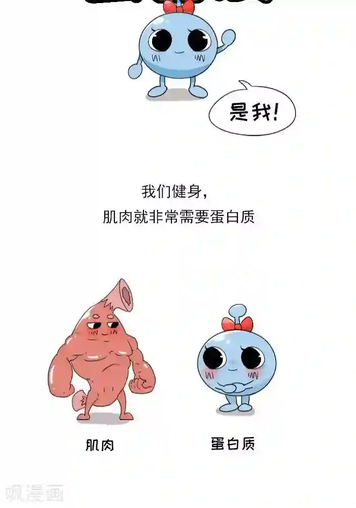 大牛健身漫画第9话 蛋白质知多少？