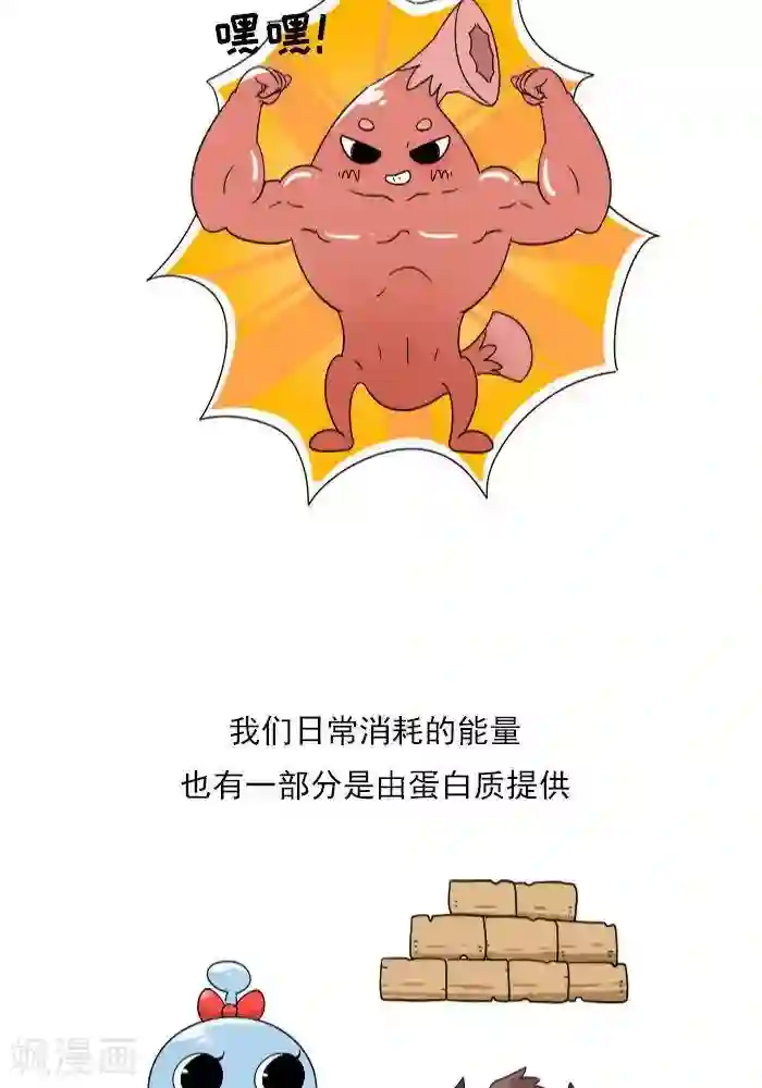 大牛健身漫画第9话 蛋白质知多少？