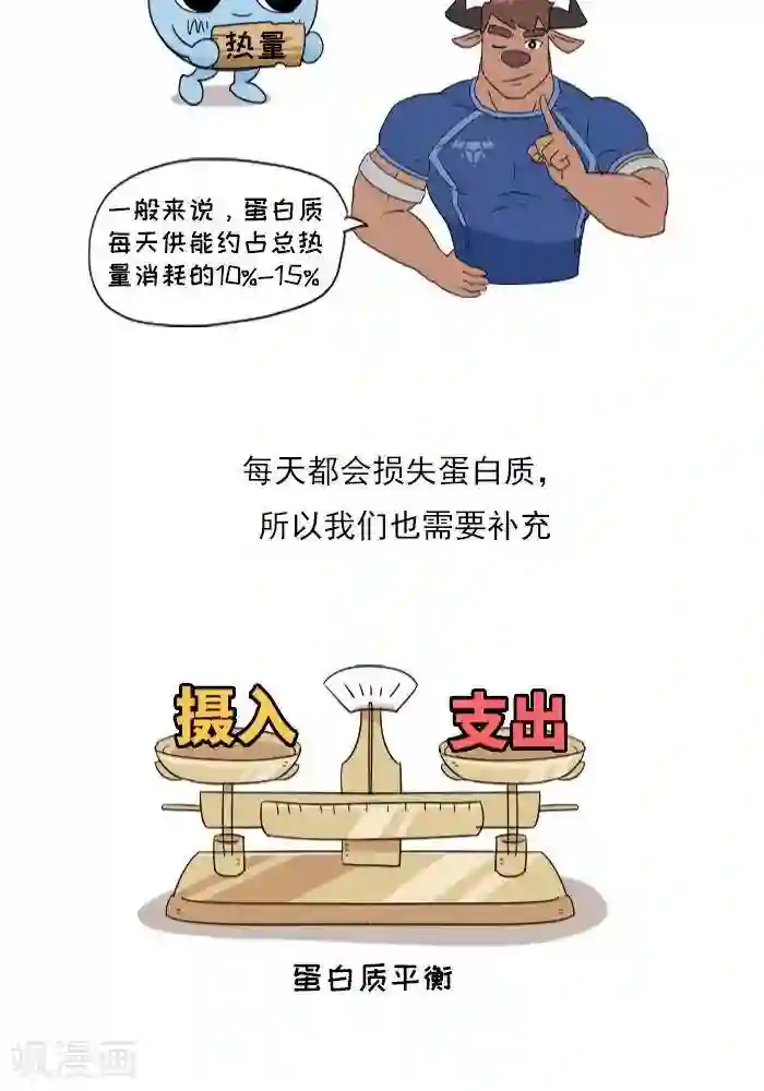 大牛健身漫画第9话 蛋白质知多少？