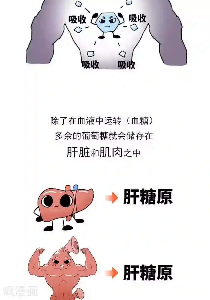 大牛健身漫画第10话 重要的碳水化合物