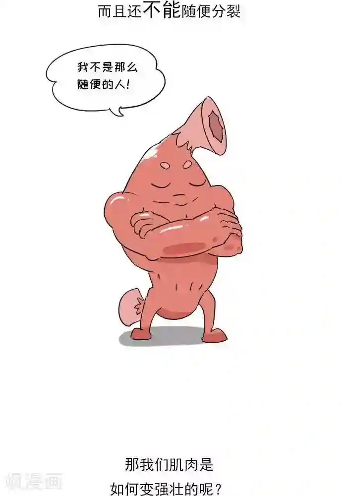 大牛健身漫画第11话 你对肌肉多了解？