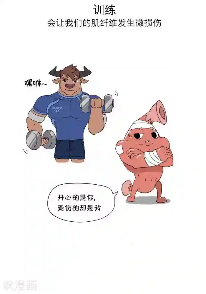 大牛健身漫画第11话 你对肌肉多了解？