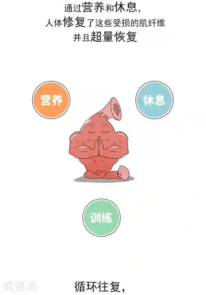 大牛健身漫画第11话 你对肌肉多了解？