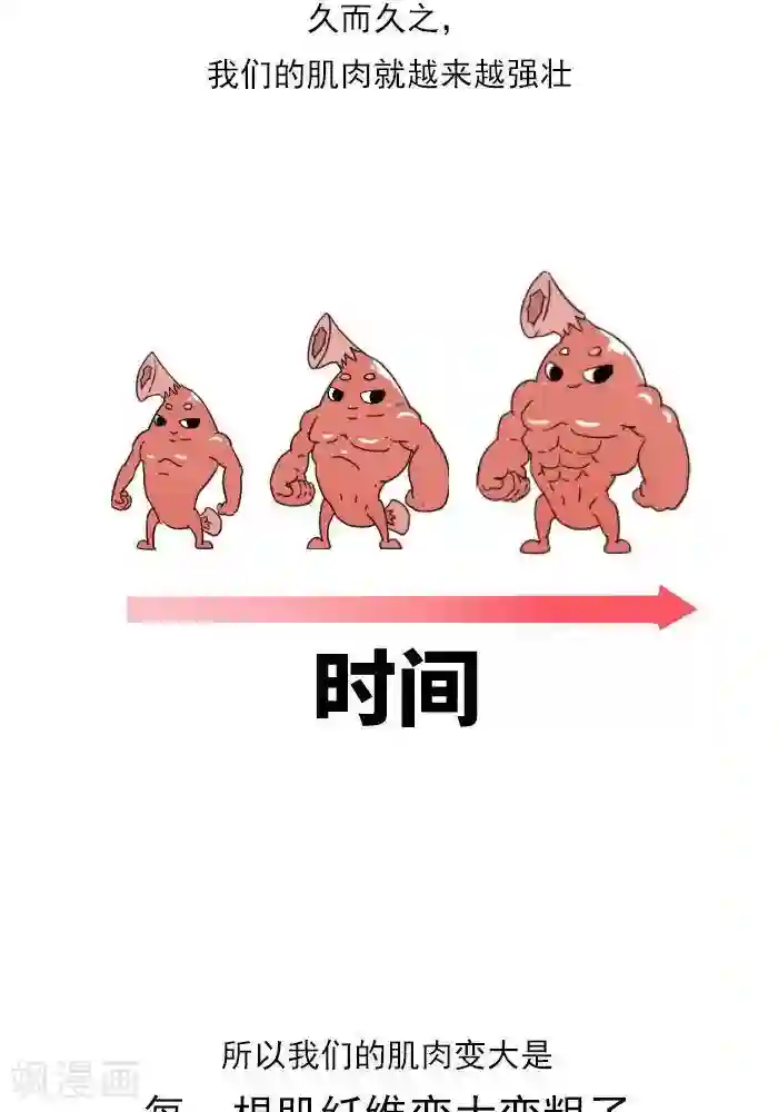大牛健身漫画第11话 你对肌肉多了解？