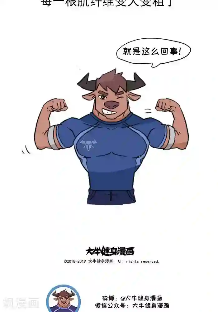 大牛健身漫画第11话 你对肌肉多了解？