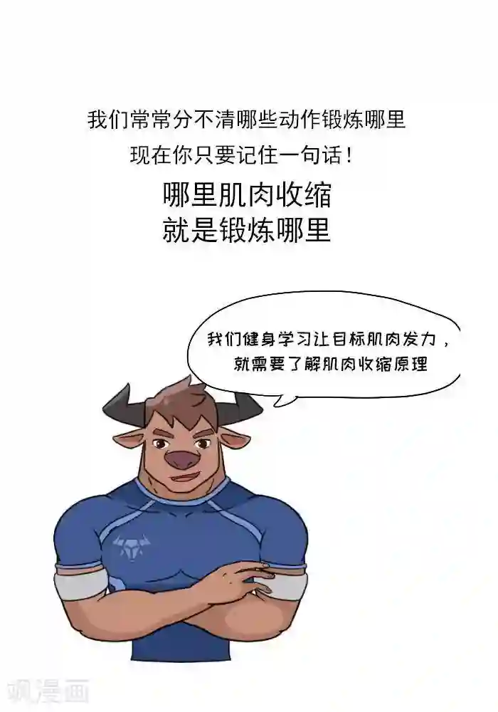 大牛健身漫画第11话 你对肌肉多了解？