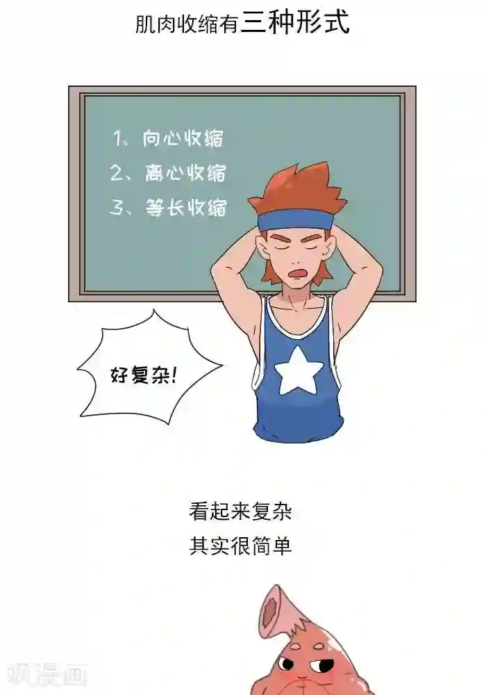 大牛健身漫画第11话 你对肌肉多了解？