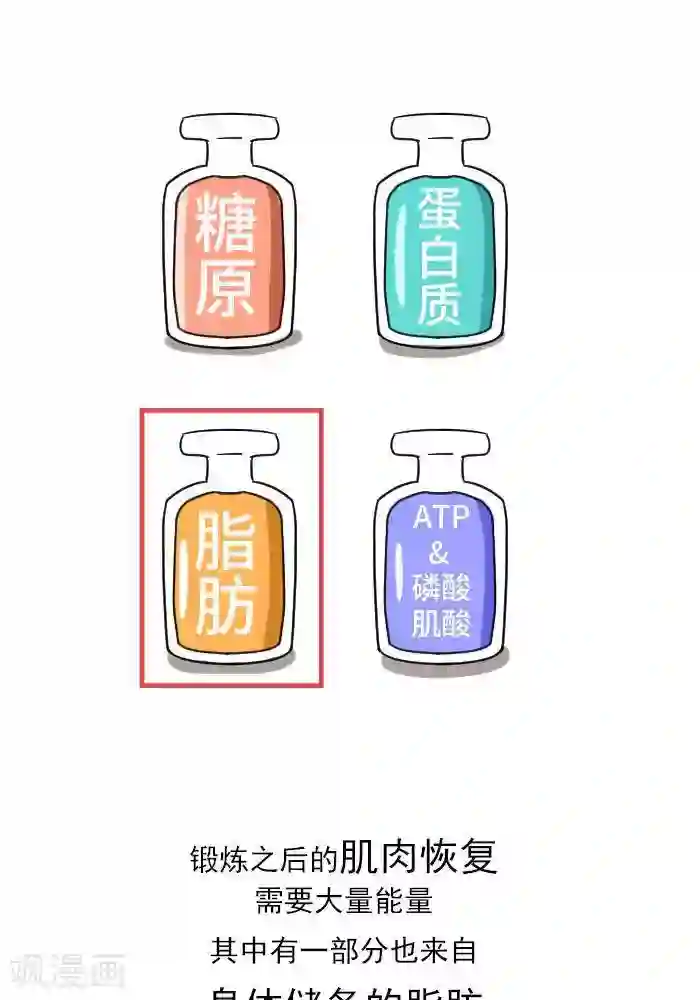 大牛健身漫画第12话 肌肉，减肥的好帮手！