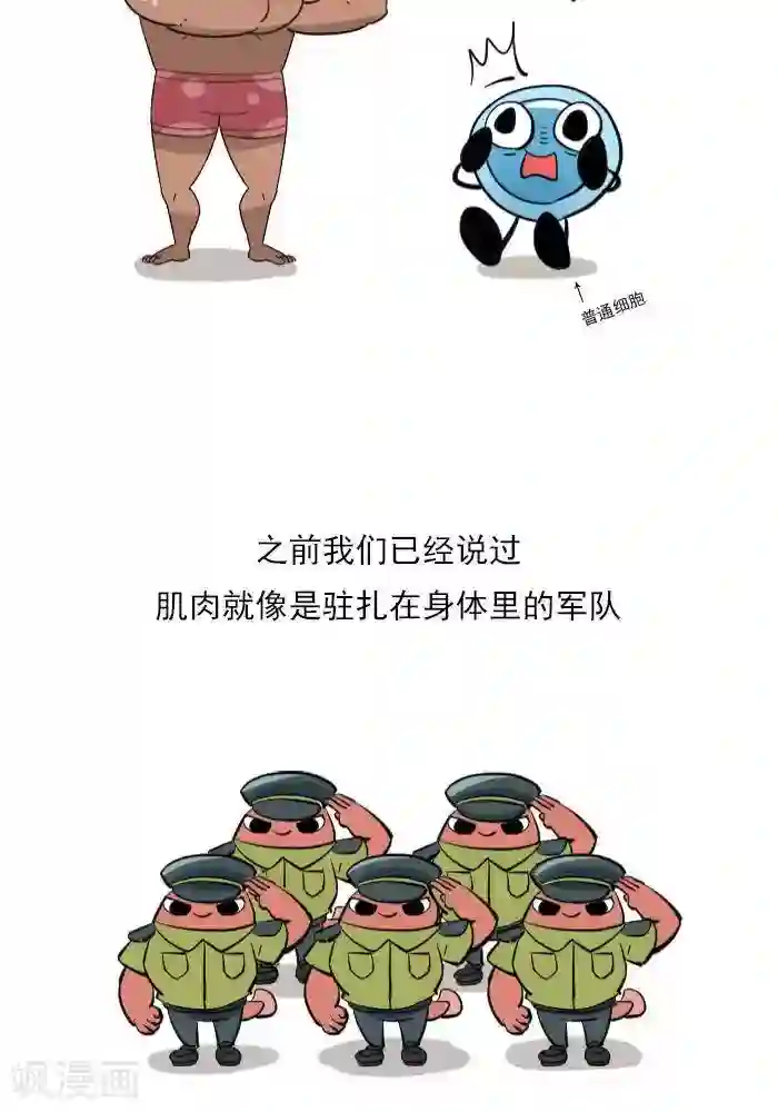 大牛健身漫画第13话 RM是什么？