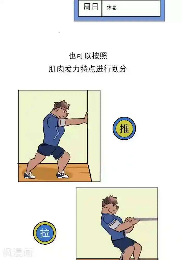 大牛健身漫画第17话 计划的制定，我要练肌肉