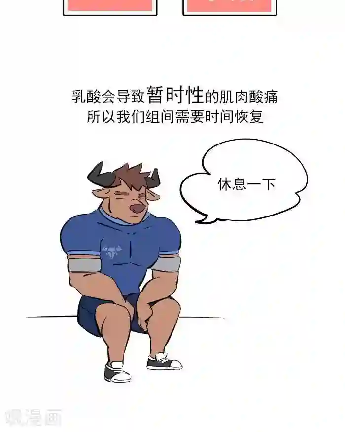 大牛健身漫画第18话 欲罢不能的痛，DOMS