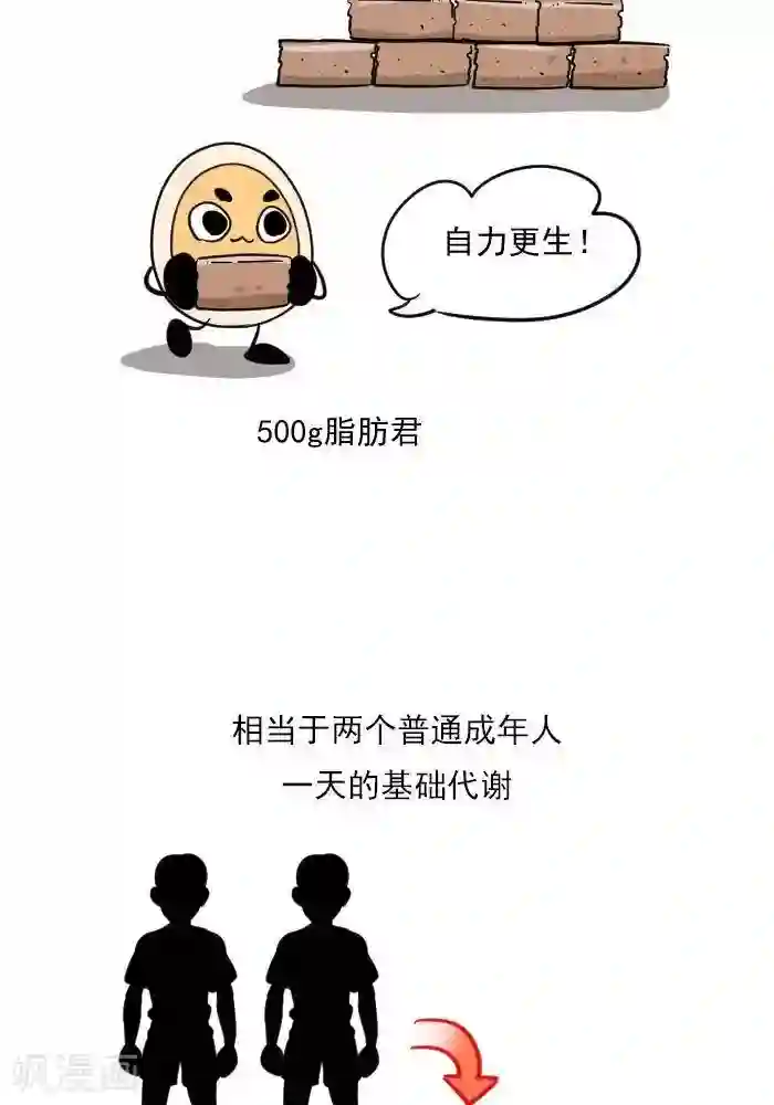 大牛健身漫画第19话 减肥和减重是一样的吗？