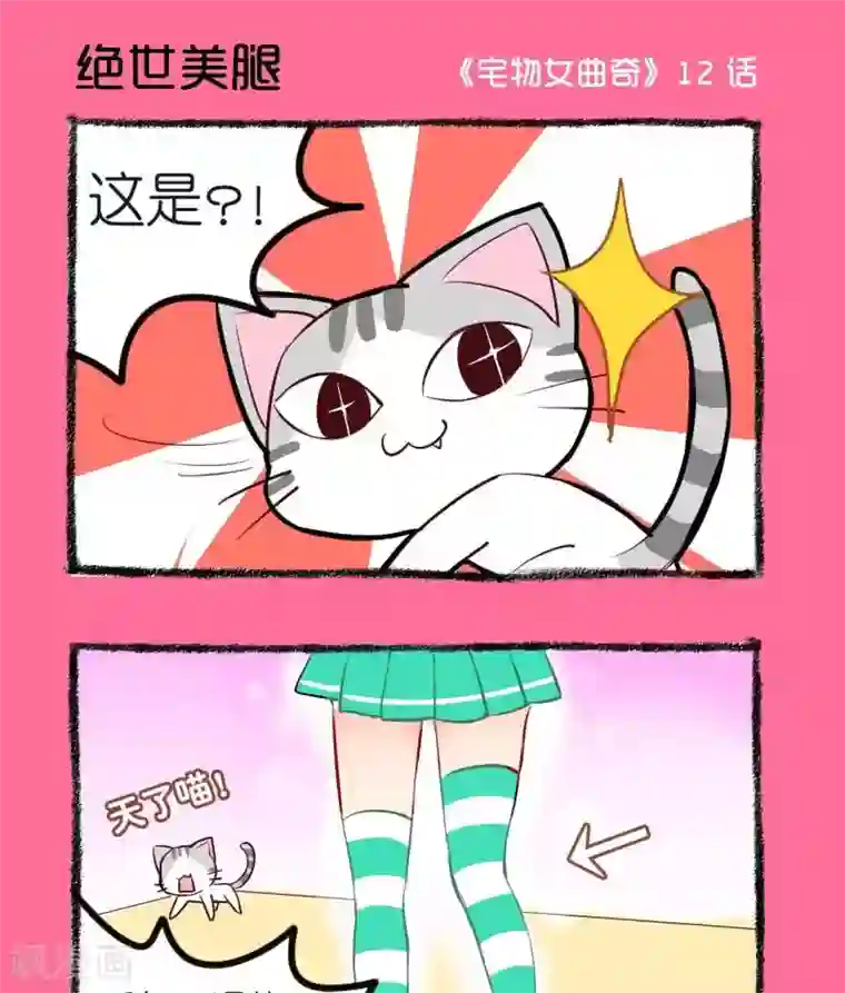 宅物女曲奇第12话 绝世美腿