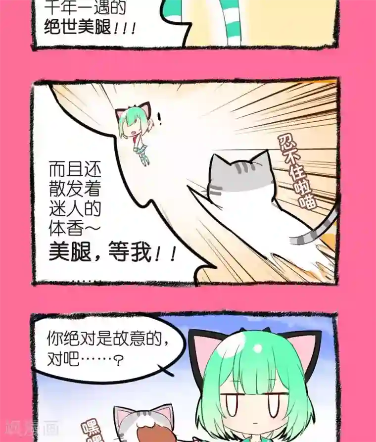 宅物女曲奇第12话 绝世美腿