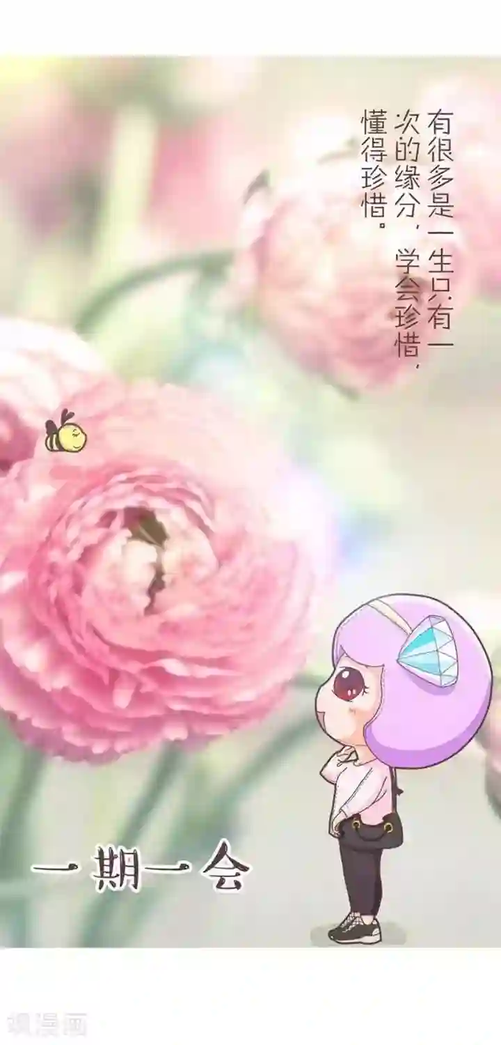 一克拉女孩第14话 禅语