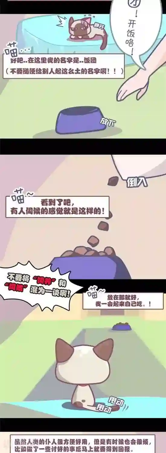 喵星人日记第1话