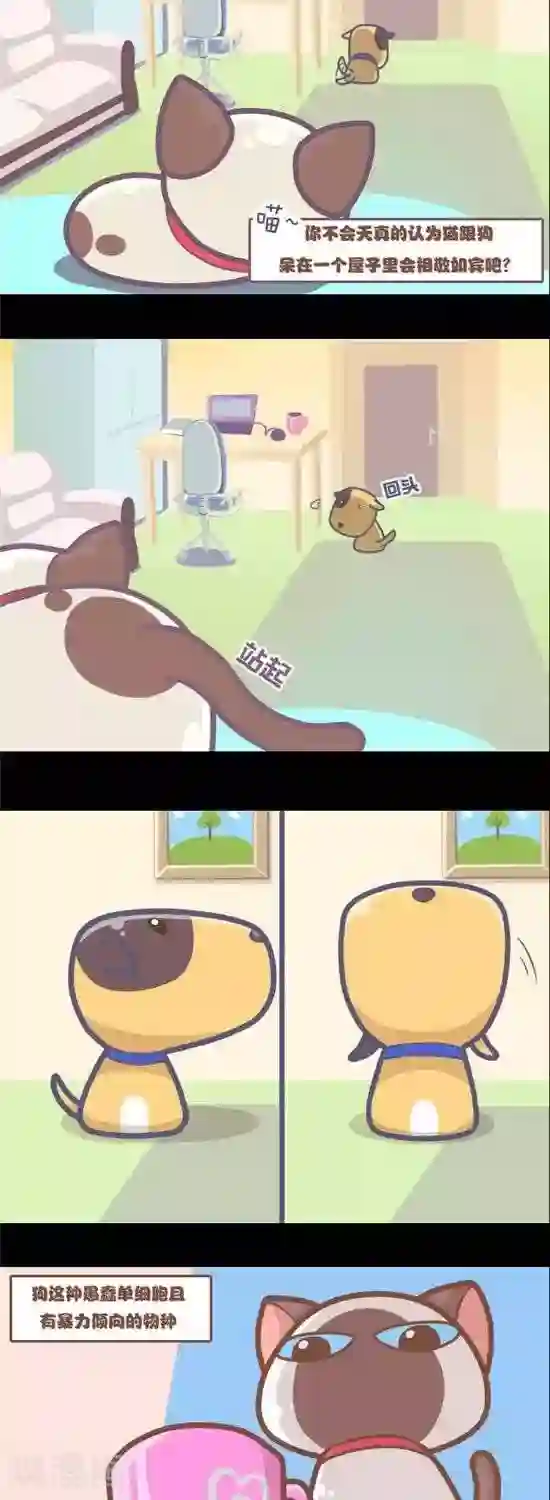 喵星人日记第2话