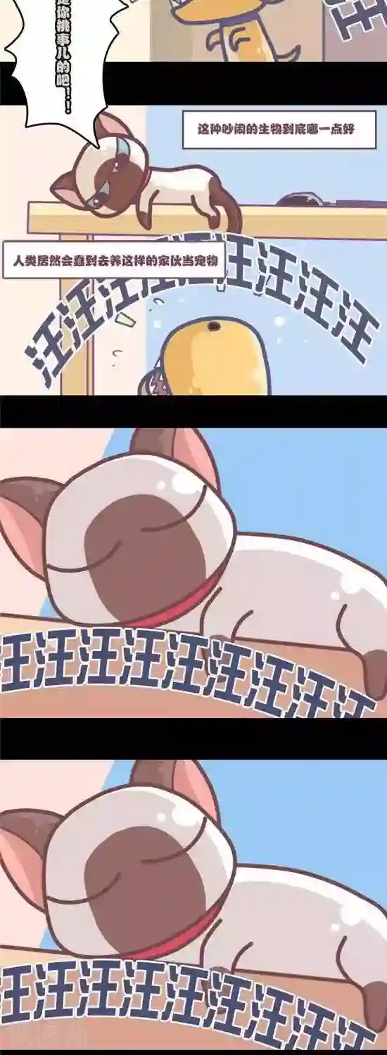 喵星人日记第2话